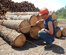 Log scaling training comes to NIC’s Campbell River campus