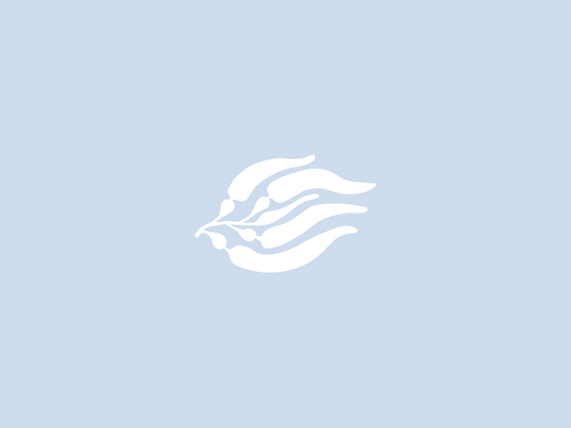 Pacific Seaweed Summit