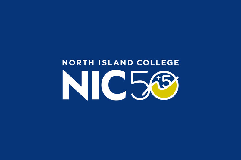 NIC 50 Plus 5 Graphic Element