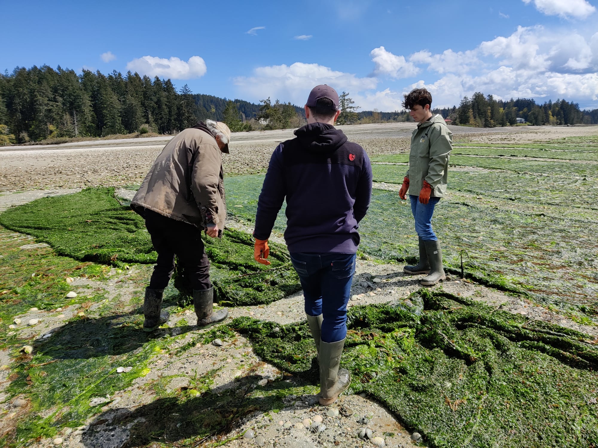 Microplastics in shellfish research