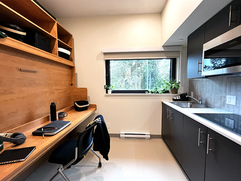 nano suite with the convertible desk and murphy bed. Shows a desk setup with a full kitchen adjacent. Window looks out to wooded area.