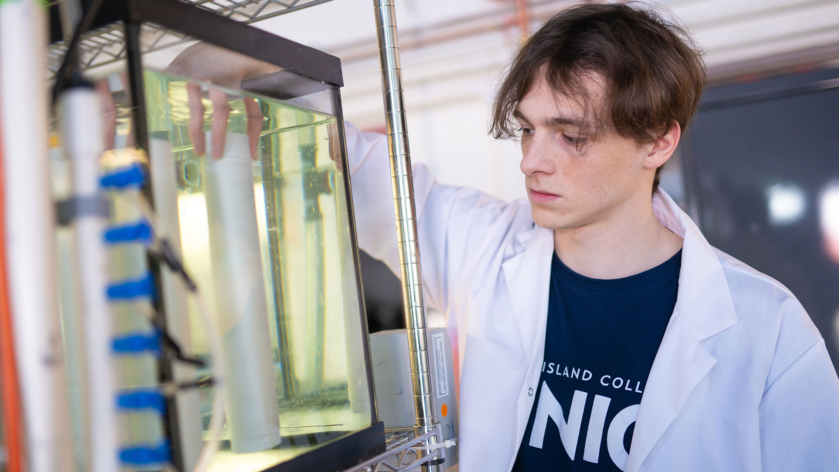 A student researcher inspects a tank for seaweed research