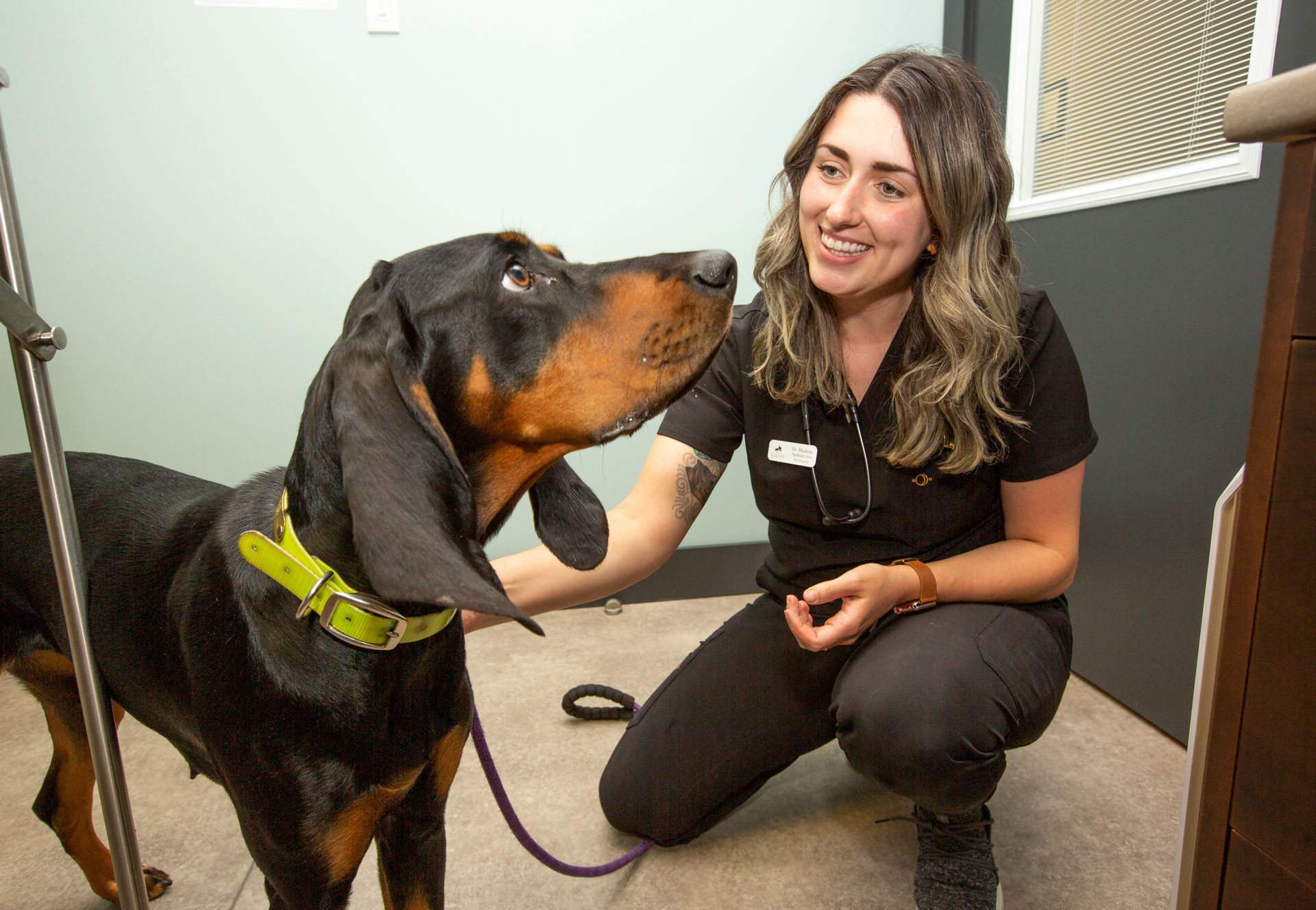 Veterinary technician with dog