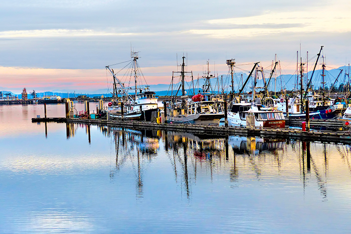 2020 North Island Writers Conference