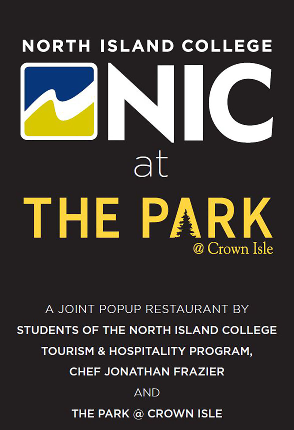 NIC at the park poster