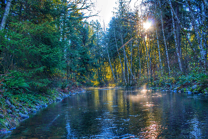 Study Nuu-Chah-Nulth this winter at NIC
