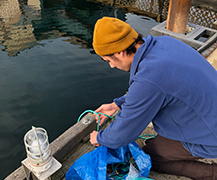 NIC partners with Rising Tide Shellfish on new oyster grow-out system