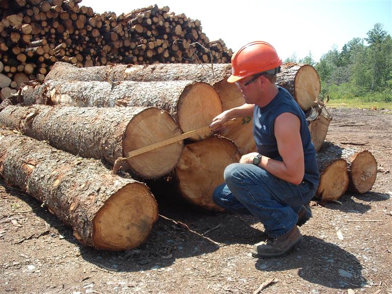 Coastal Log Scaling returns to NIC this...