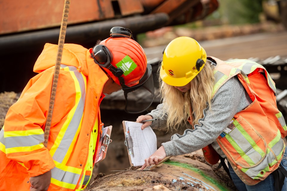 NIC in the News: Coastal Log Scaling...