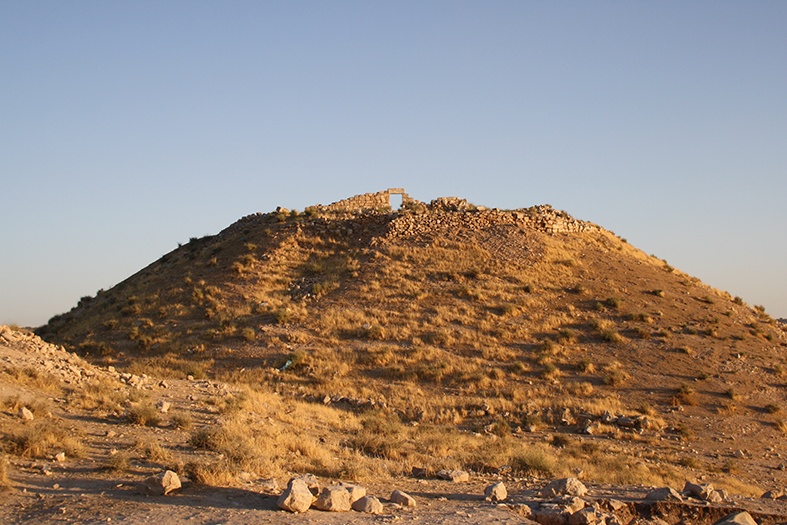 Information Session: Field School in...