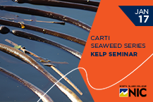 CARTI Seaweed Series - Kelp Seminar
