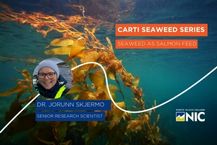 CARTI Seaweed Series - Seaweed as Salmon Food Seminar
