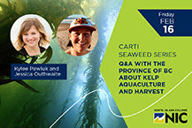 Seaweed Series: Q&A with the Province of BC about Kelp Aquaculture and Harvest