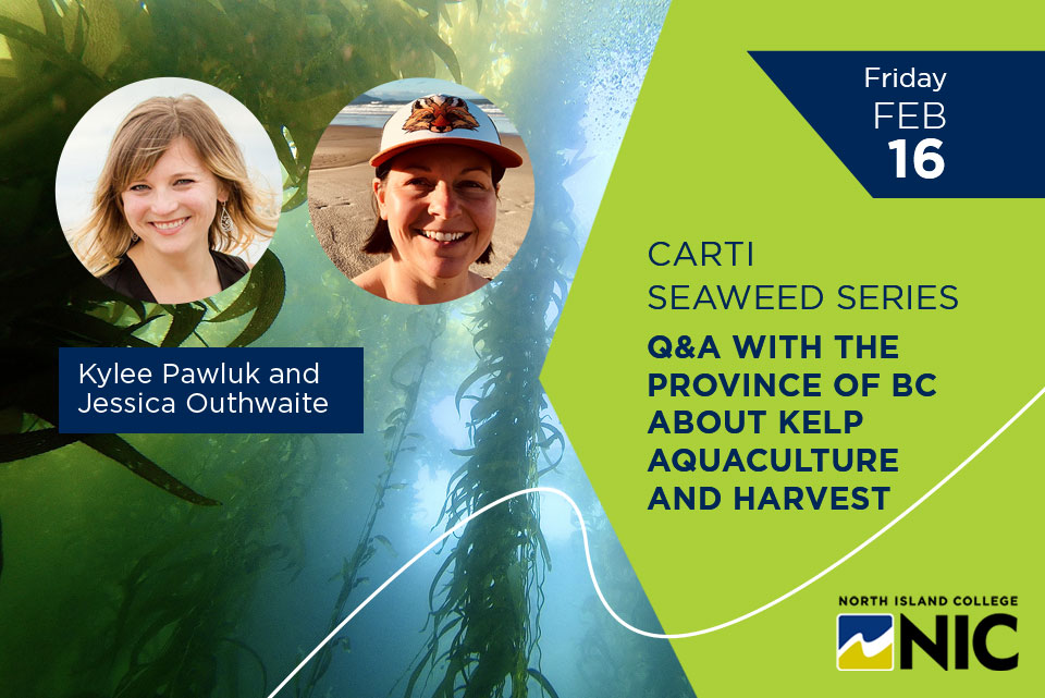 Seaweed Series: Q&A with the Province...